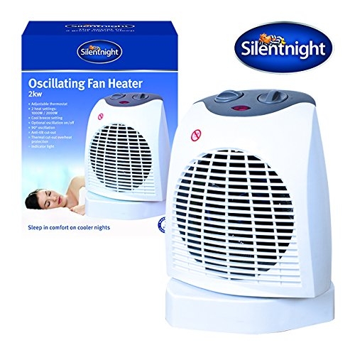 portable electric heater with fan