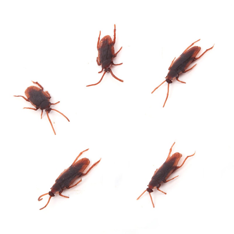 plastic toy cockroaches